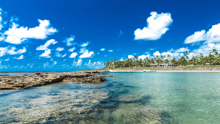 Clear turquoise waters and rocky shoreline at Porto de Galinhas in Pernambuco, Brazil, with palm trees and beachfront umbrellas in the background.