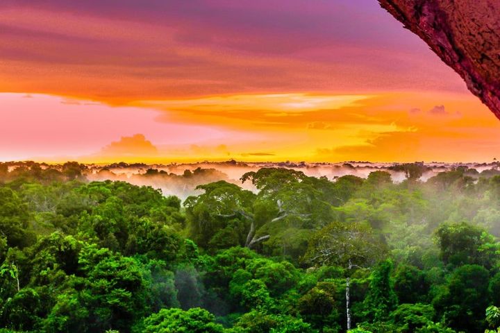 Sunset at the Amazon Rain Forrest in Colombia overlooking the canopy.