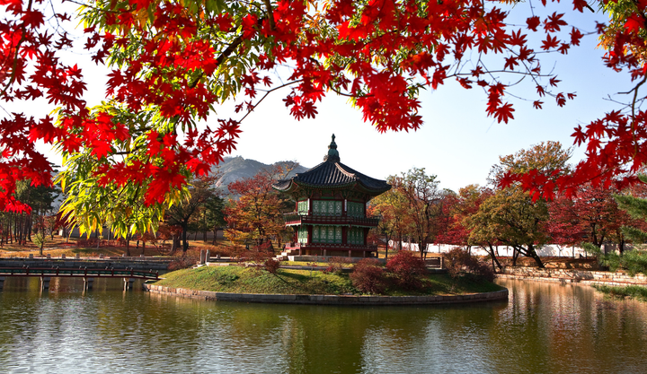 Gyeongbokgung Palace in Seoul, surrounded by vibrant red autumn maple leaves, reflected in a calm pond with mountains in the background.