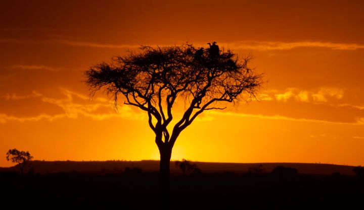 Maasai Mara Sunset in the Kenya Safari 