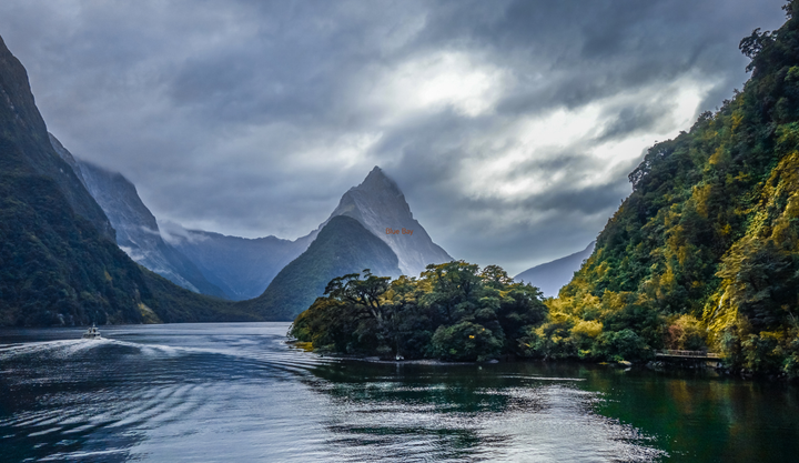 Milford Sound in Fiordland National Park, New Zealand, featuring dramatic mountain peaks, dense rainforest, and calm dark waters under a moody sky.