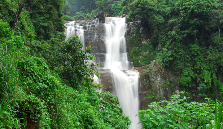 The beautiful Nuwara Eliya Waterfalls in Sri Lanka surrounded by lush jungle. 