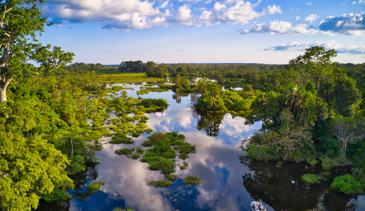 A body of water in Odzala National Park The Republic of The Congo.