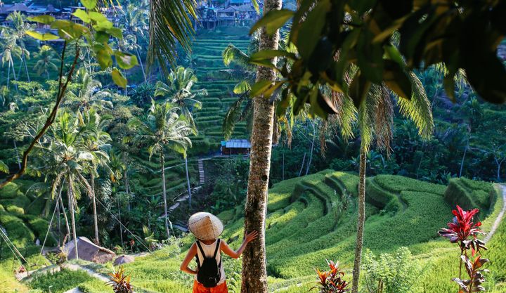 A tourist visiting a rice terrace in Bali, Indonesia.