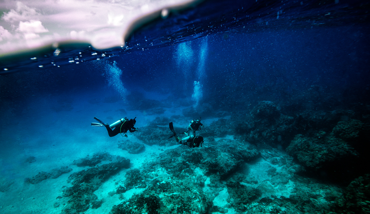 Cheapest and Most Expensive Times to Visit Cozumel