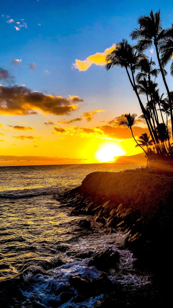 Beautiful ocean sunset in Maui with palm trees seen in the shadows.