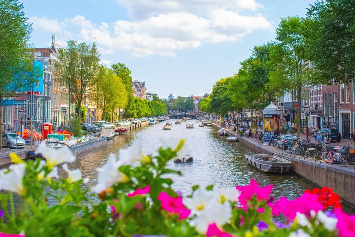 Pink flowers shown sitting on a bridget overlooking a canal in Amsterdam.
