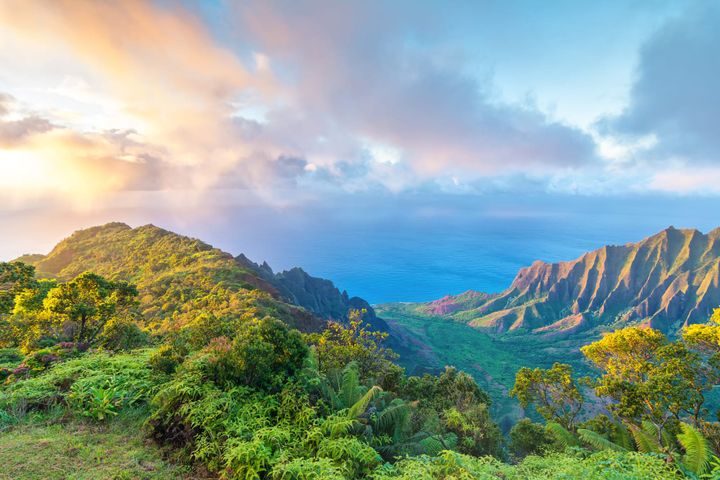 View of the Ocean in Kauai from a mountain top hiking trail. 