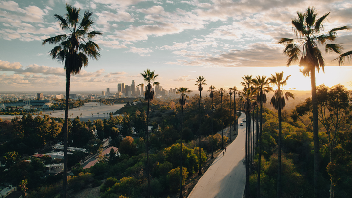 Los Angles skyline seen through a group of palm trees.
