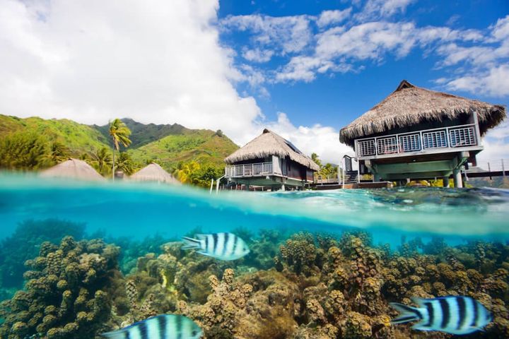 In French Polynesia, a split view of a photo take that is half above and below the ocean to show fish and coral under the surface, and bungalows above the water.
