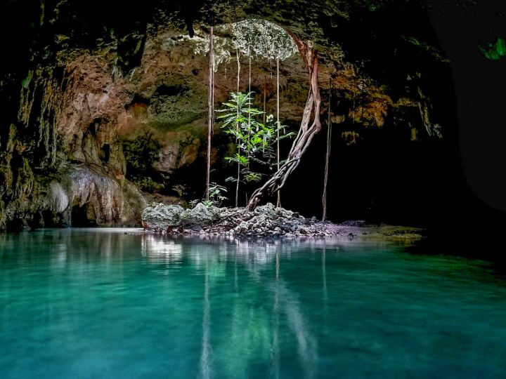 Cenote sinkhole with clear waters in Tulum, Mexico.