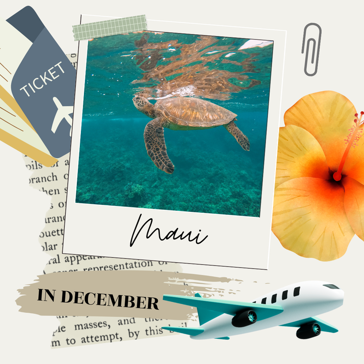 Visiting Maui in December 