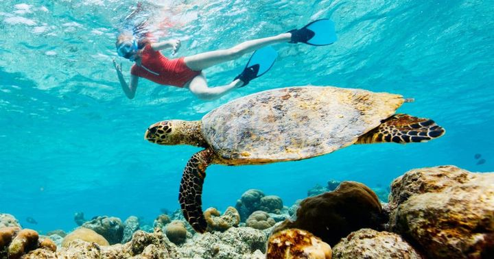 Woman swimming with seaturtle in Tulum, Mexico.