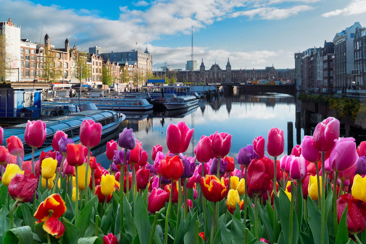 Cheapest and Most Expensive Times To Visit Amsterdam