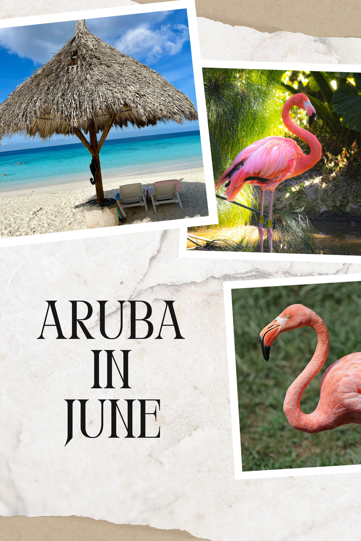 Visiting Aruba in June: Everything To Know