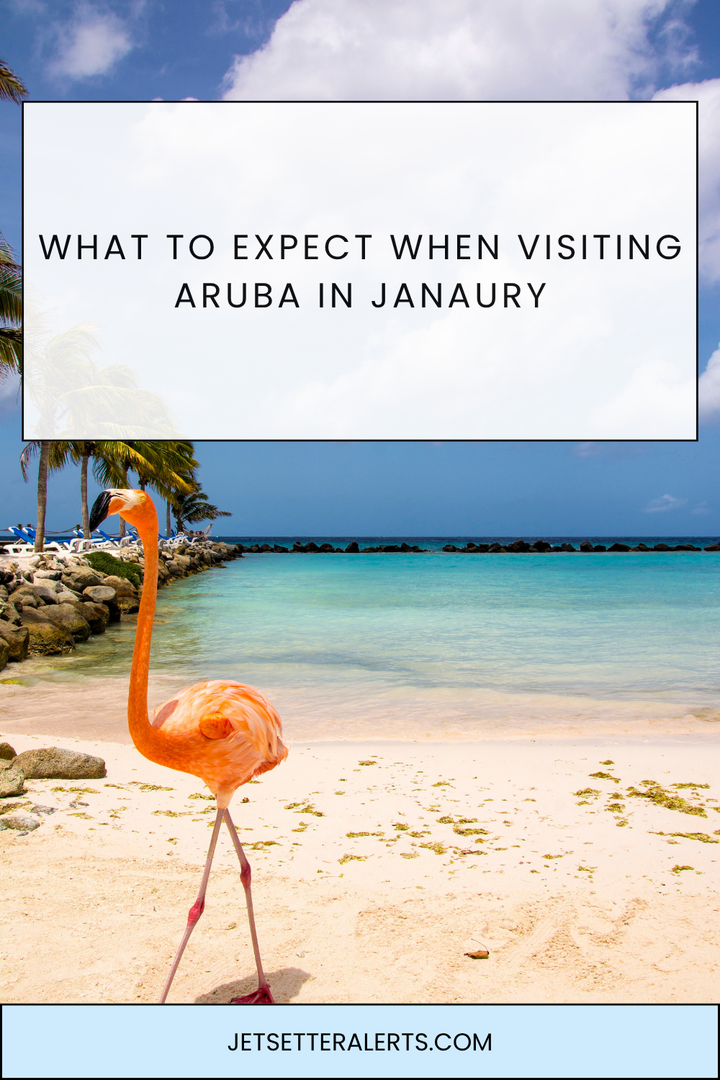Visiting Aruba in January