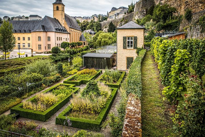 A garden in Luxembourg next to an old rock wall in the central city.