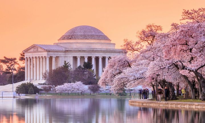 Cost To Visit Washington D.C.: Travel Budget Guide