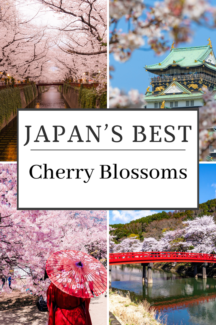 Best Places in Japan to View Cherry Blossoms