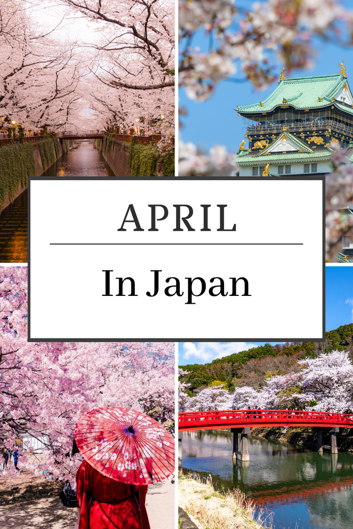 April in Japan, everything you should know about visiting.