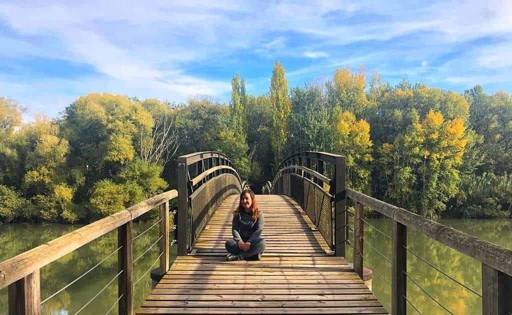 My Cause : 🌍🌱🤝✨📚