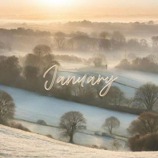 Margins of January