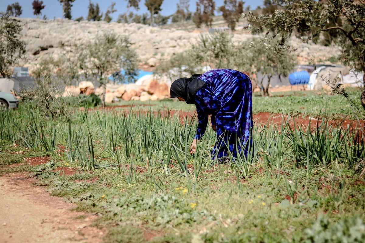 IWRM and Neo-Colonial Power In Syria: Between Reform And Instrumentalization
