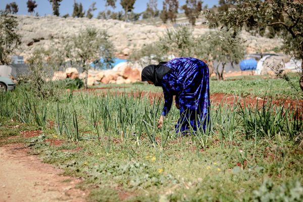 IWRM and Neo-Colonial Power In Syria: Between Reform And Instrumentalization