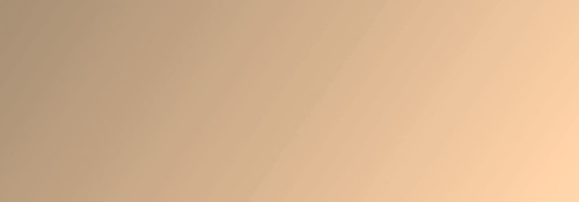 The Introverted Architect