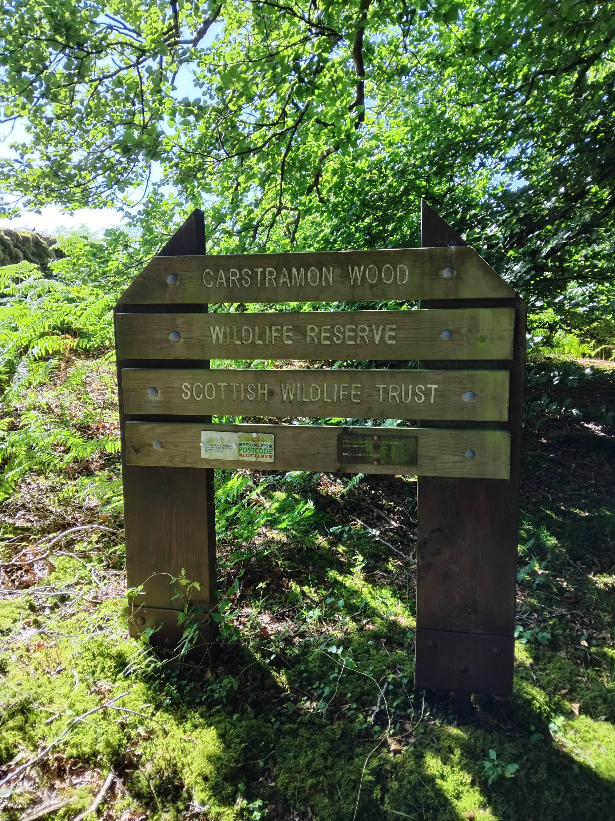 Carstramon Wood, Wildlife Reserve. Scottish Wildlife Trust.