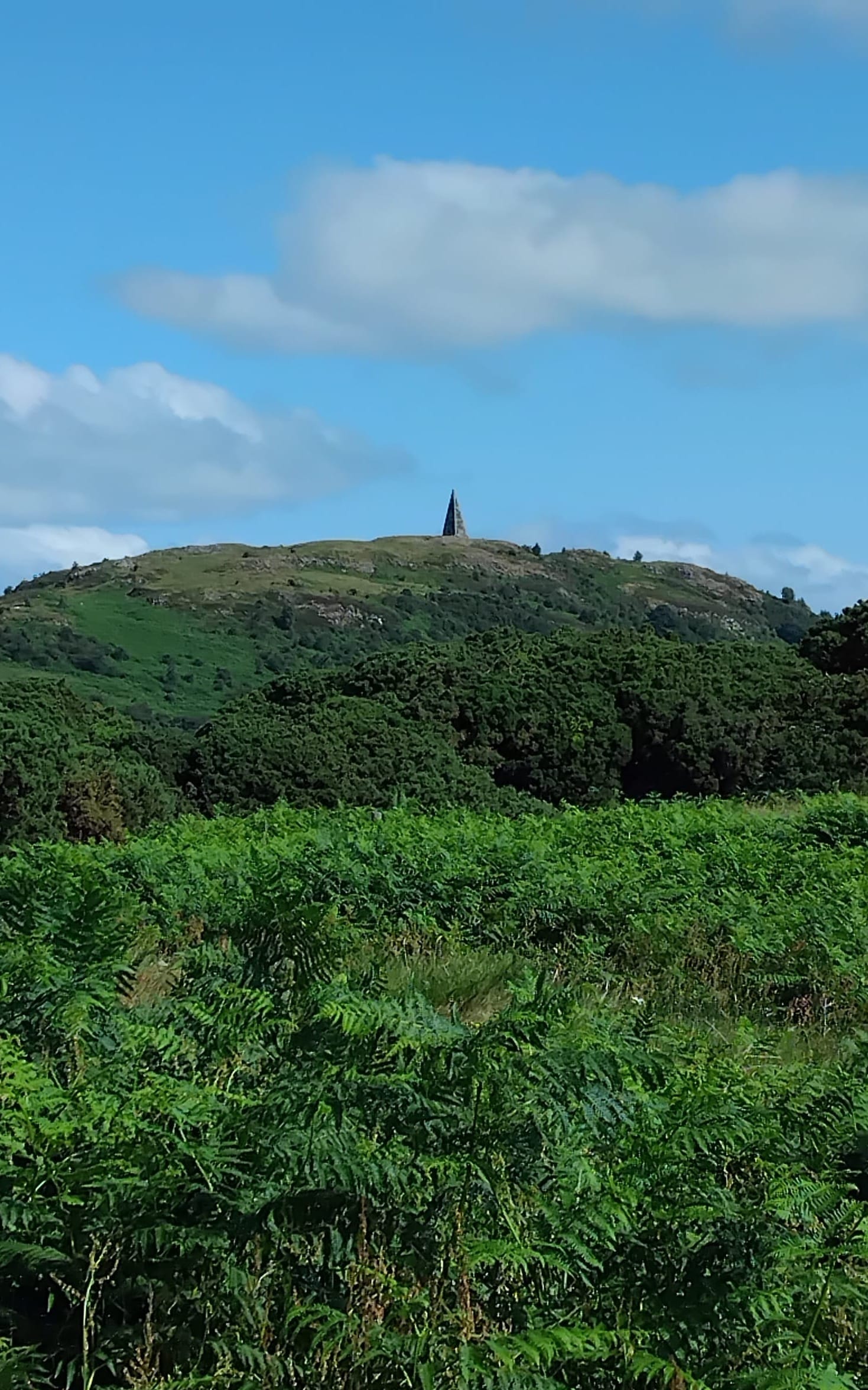 View of Nielson's Monument from Queenshill Trail, Galloway.