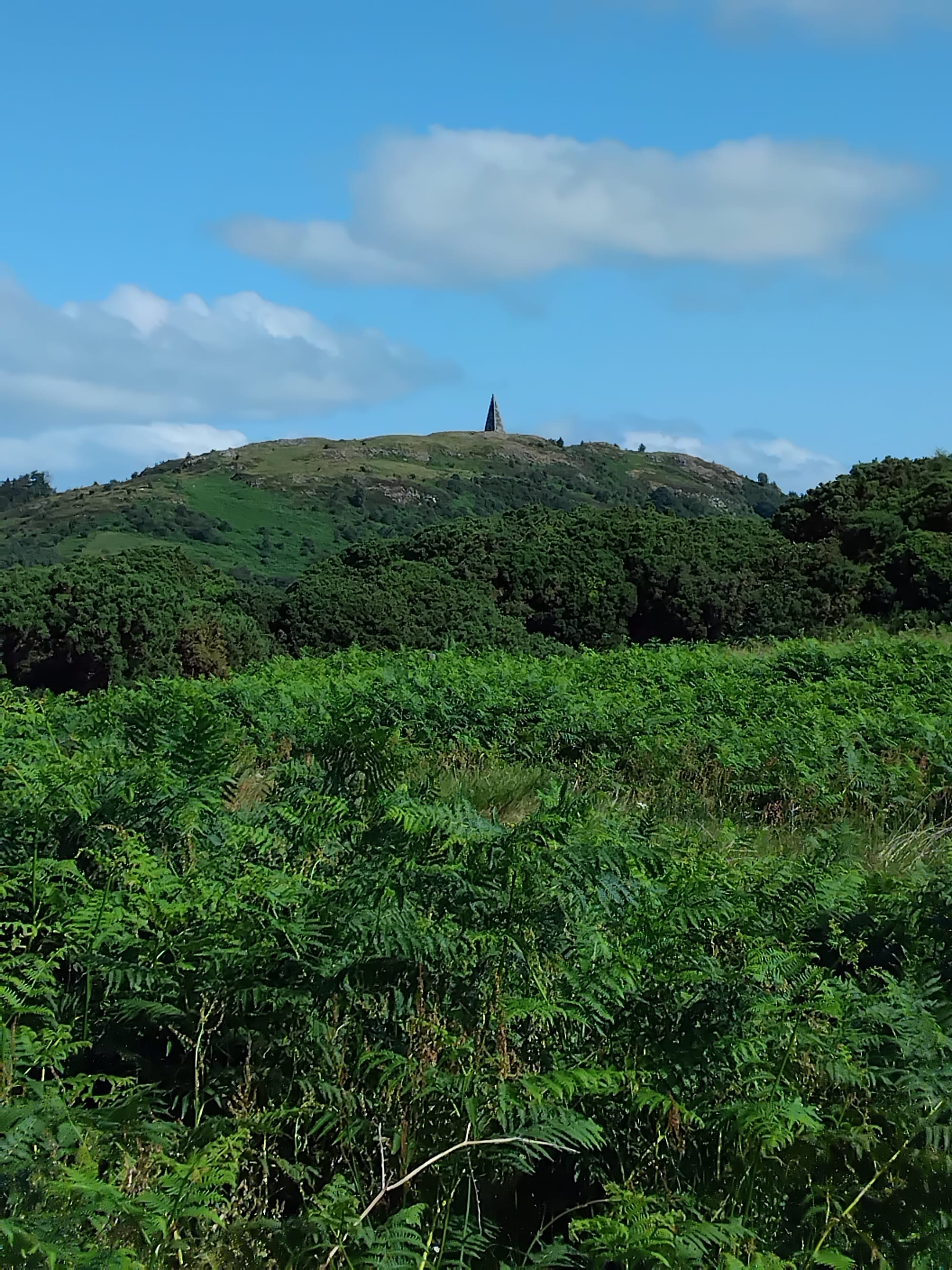 View of Neilson’s Monument from Queenshill Walk with Shirley G