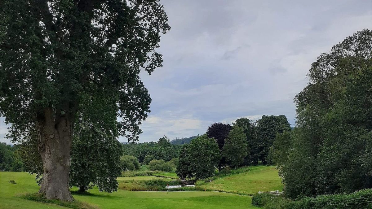 View from Sandgreen and Cally Woods walk.