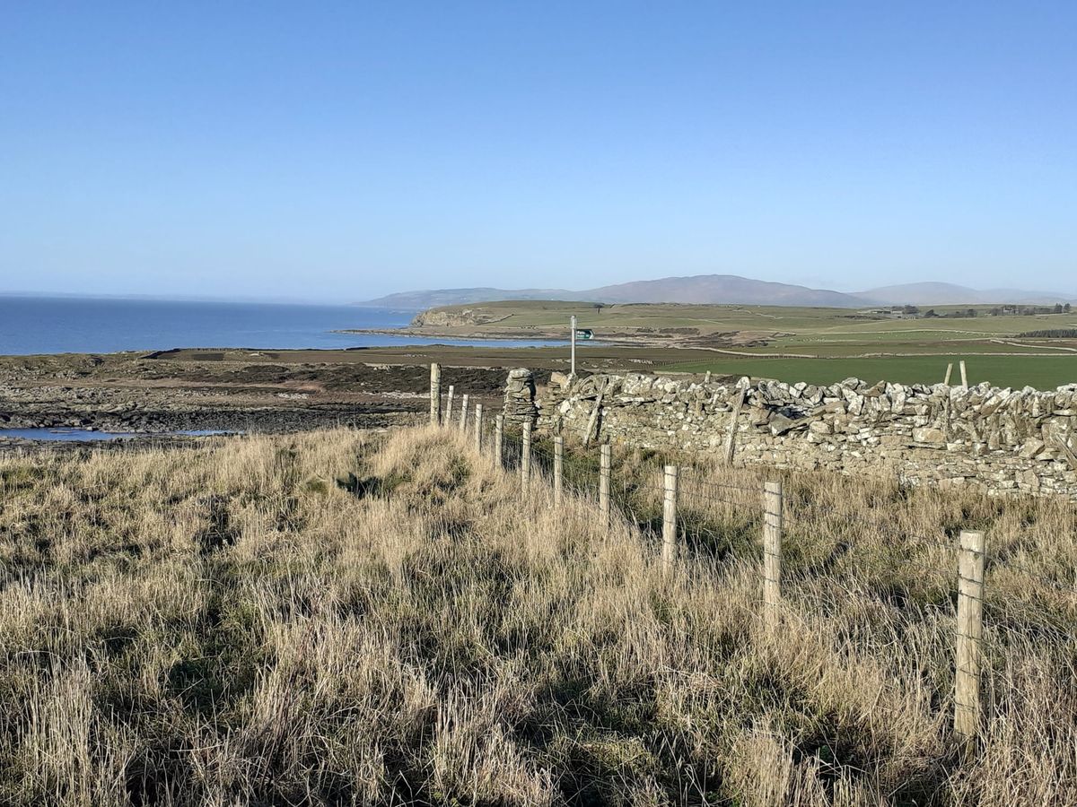 Walking Galloway in January