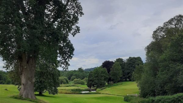 View from Sandgreen and Cally Woods walk.