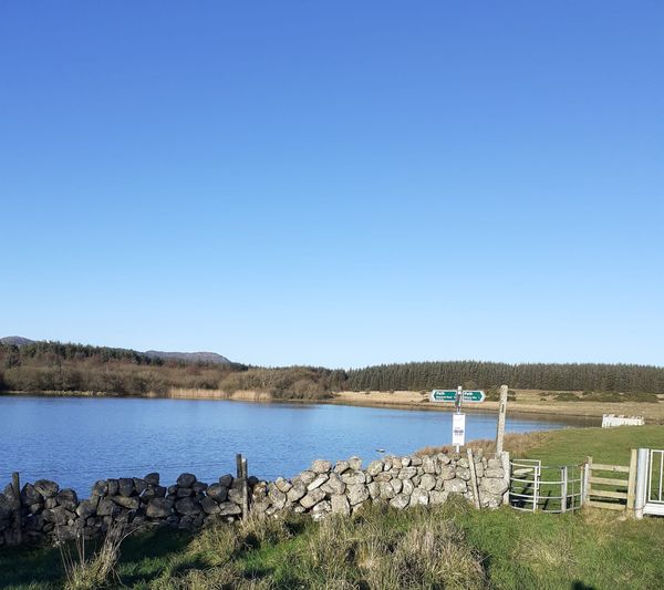 Walking Galloway in December