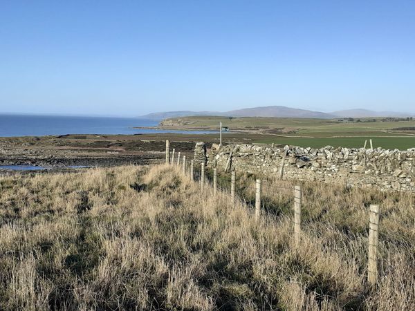 Walking Galloway in January