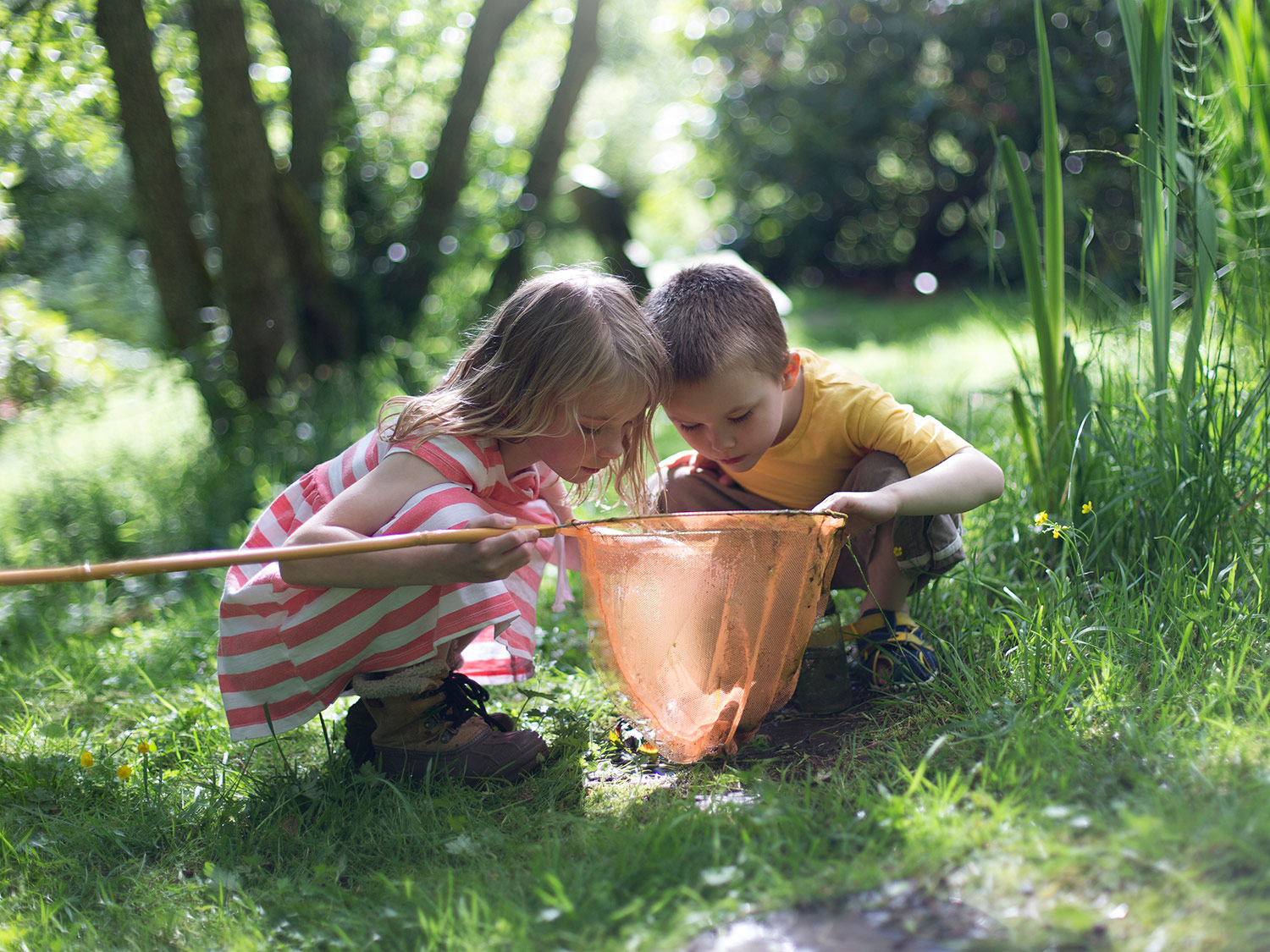 Budget-Friendly Family Activities