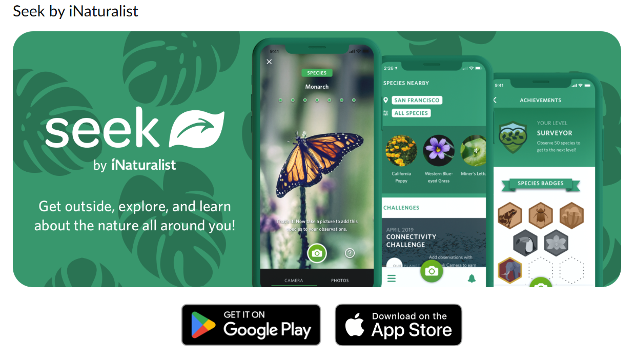 Apps - Best Learning Apps for Kids