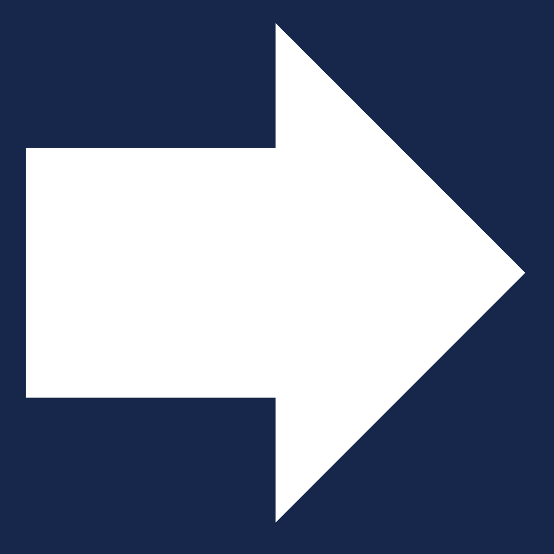 Intentional Intelligence