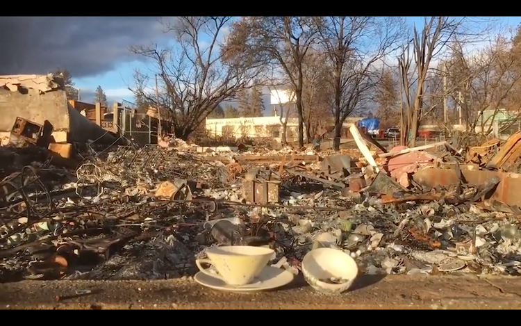 MINI-DOC: What is Paradise?