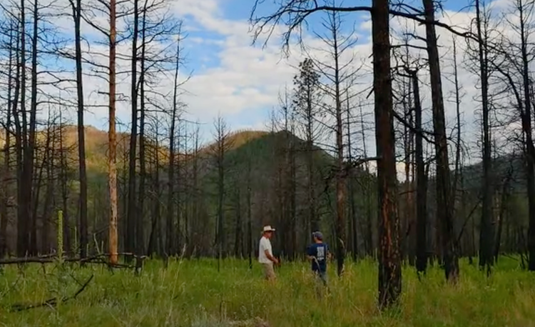 we have deep roots, we will be back...