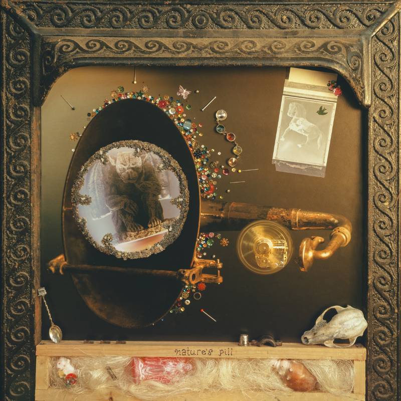 Wishy – Nature's Pill