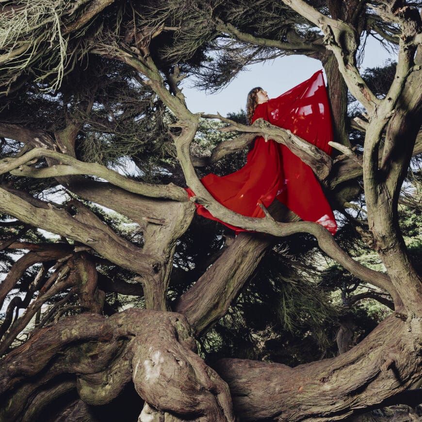 Hannah Frances – Nested in Tangles