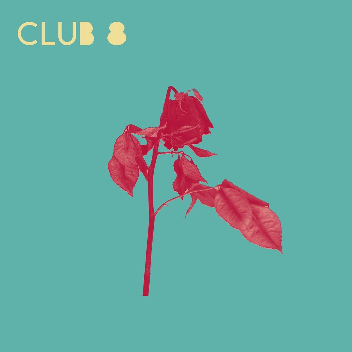 Club 8: Seasonal Echoes