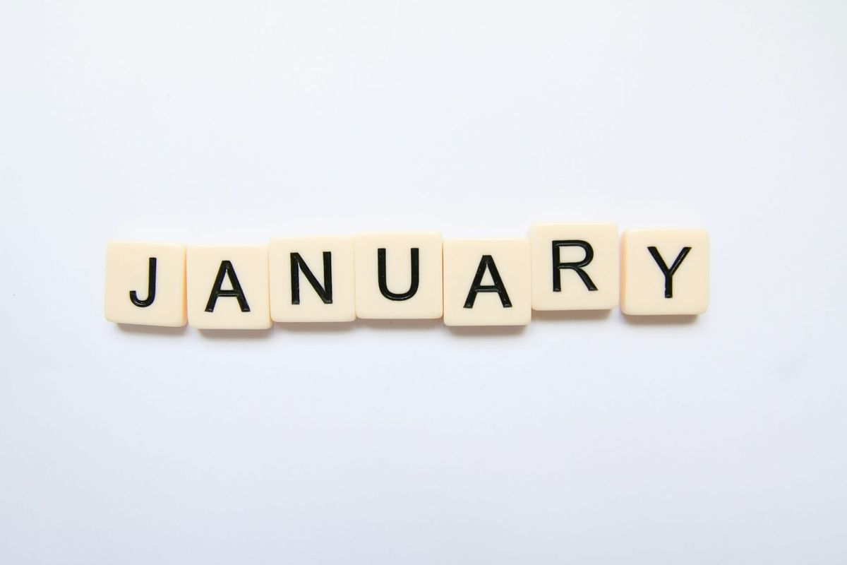 Insider Monthly #1: Our Supporters Newsletter