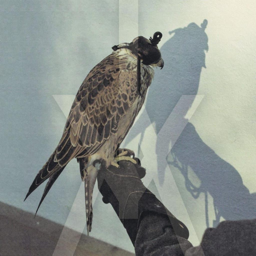 Iceage – You’re Nothing