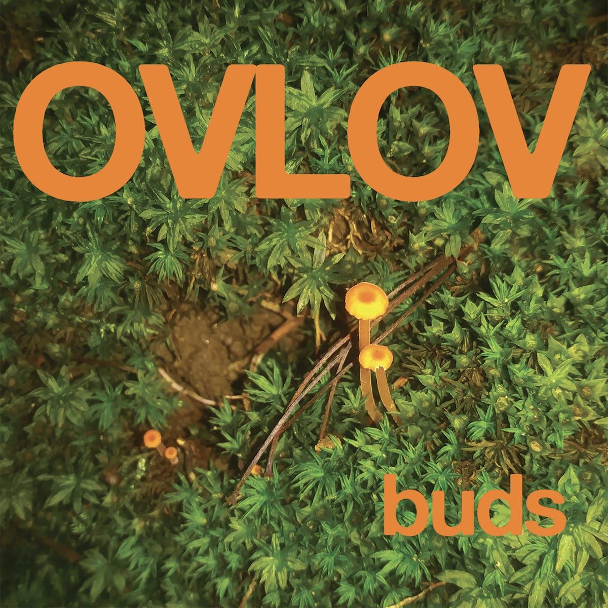 Ovlov – Buds