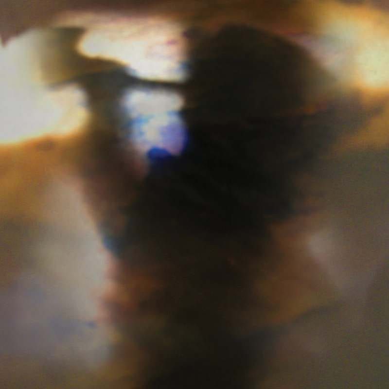 Animal Collective – Fall Be Kind