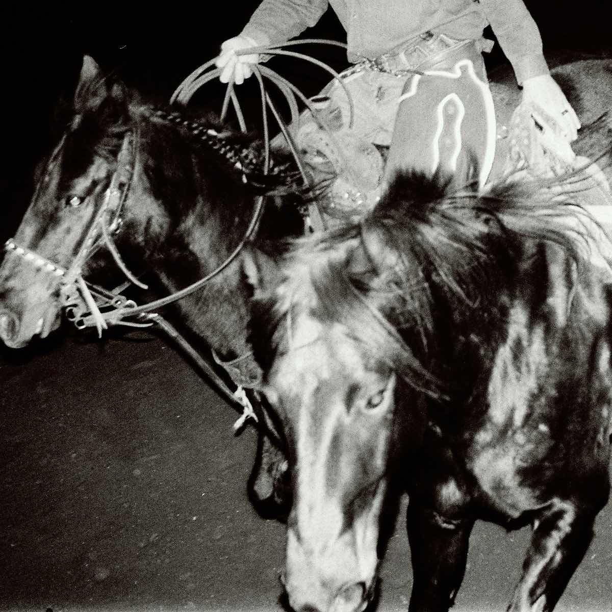 Holy Motors – Heaven’s Night